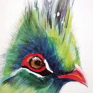 photographie peinture acrylique oiseau