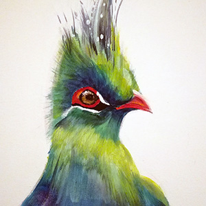 photographie peinture acrylique oiseau